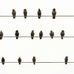 清楚明白进程、线程、协程