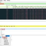 精讲Wireshark过滤器表达式原理